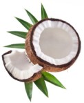 cracked-coconut